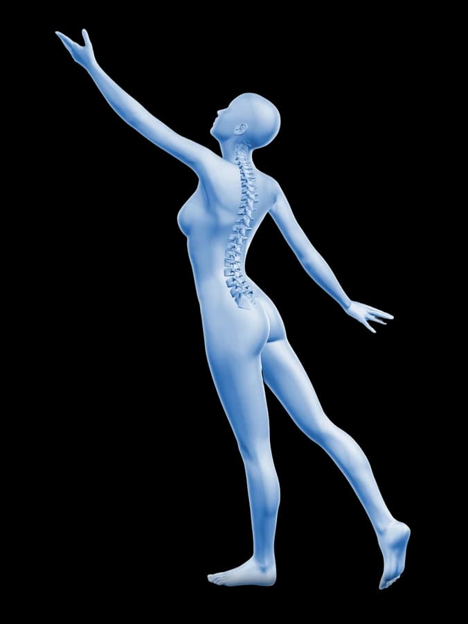 Anatomical figure reaching upward, spine highlighted — illustrating full range of motion
